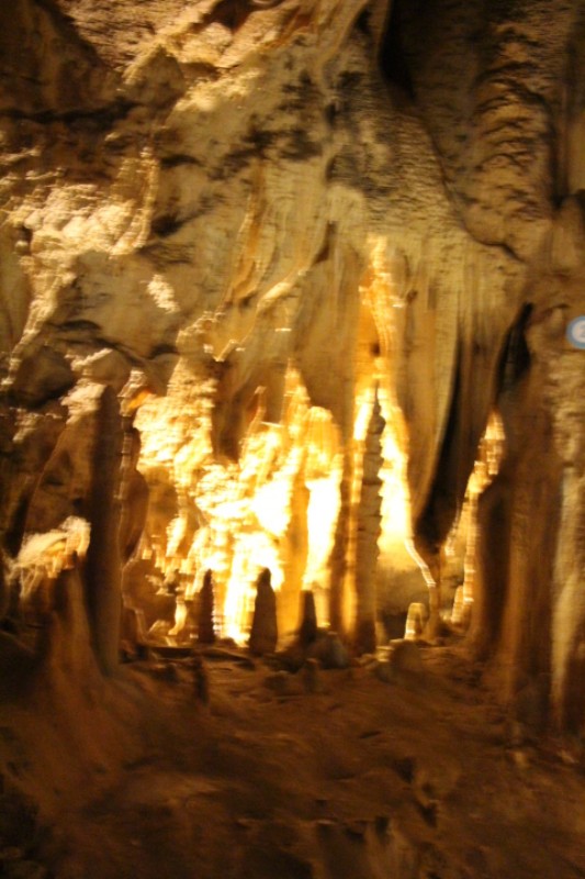 IMG_1129.JPG